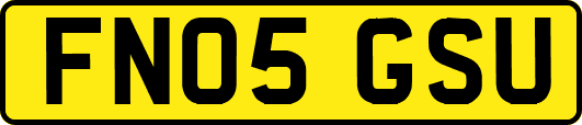 FN05GSU