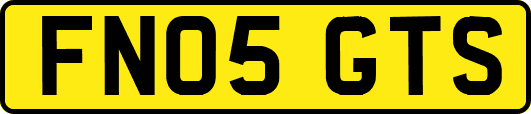 FN05GTS