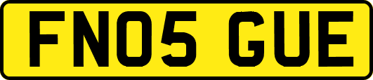 FN05GUE