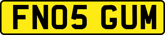 FN05GUM