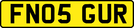 FN05GUR