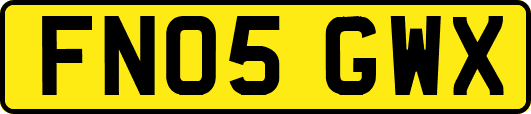 FN05GWX