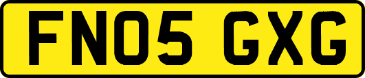 FN05GXG