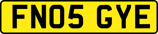 FN05GYE
