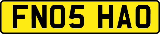 FN05HAO