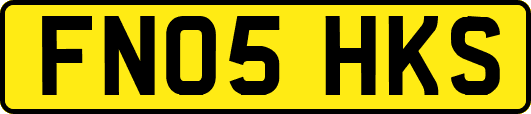 FN05HKS