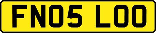FN05LOO