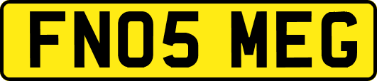 FN05MEG