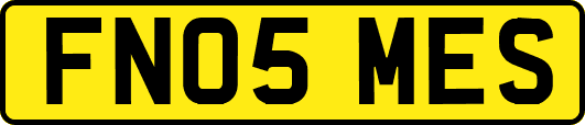 FN05MES