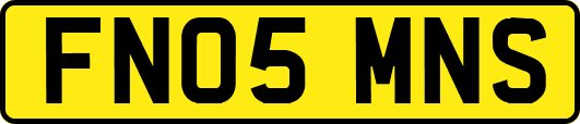 FN05MNS