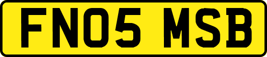 FN05MSB