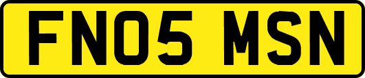 FN05MSN