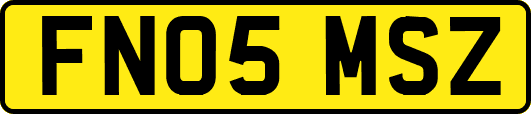 FN05MSZ