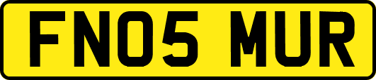FN05MUR