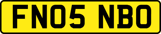 FN05NBO
