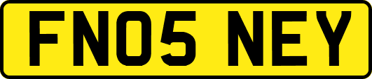 FN05NEY