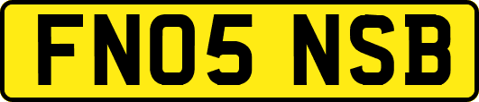 FN05NSB