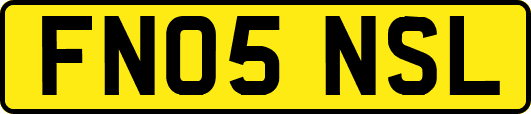 FN05NSL