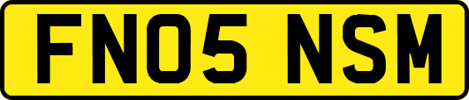FN05NSM