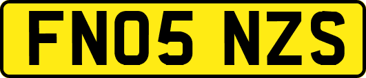 FN05NZS