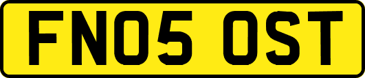 FN05OST