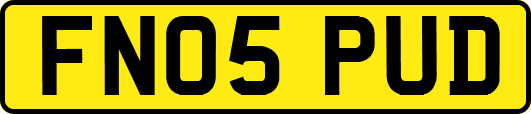 FN05PUD