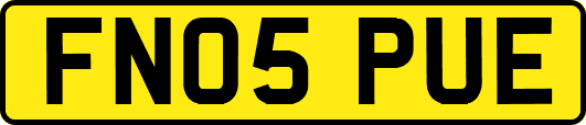 FN05PUE
