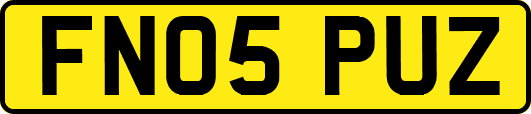 FN05PUZ