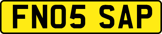 FN05SAP