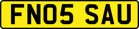 FN05SAU