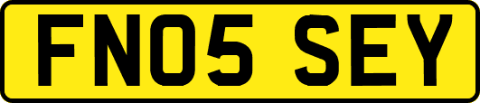 FN05SEY