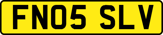 FN05SLV