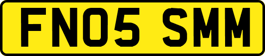 FN05SMM