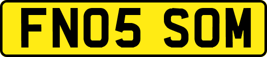FN05SOM