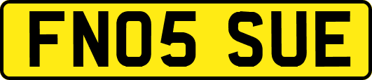FN05SUE