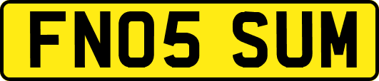 FN05SUM