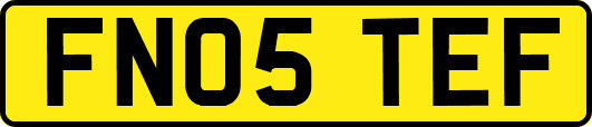 FN05TEF