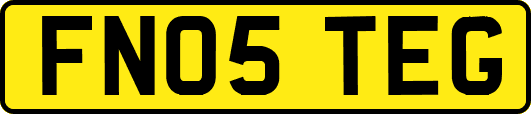 FN05TEG