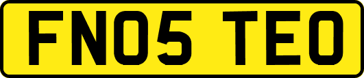 FN05TEO