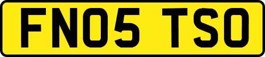 FN05TSO