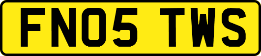 FN05TWS