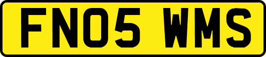 FN05WMS