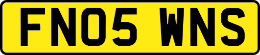 FN05WNS