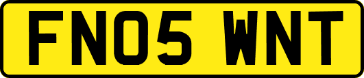 FN05WNT