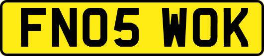 FN05WOK