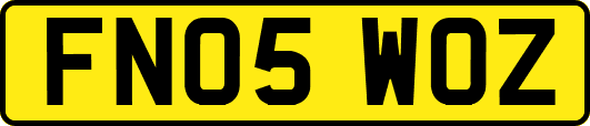 FN05WOZ