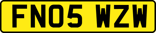 FN05WZW