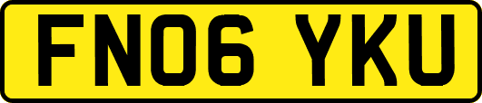 FN06YKU