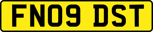 FN09DST
