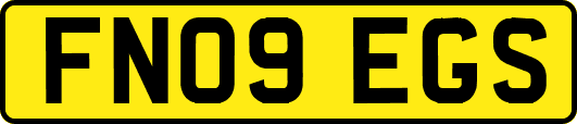 FN09EGS